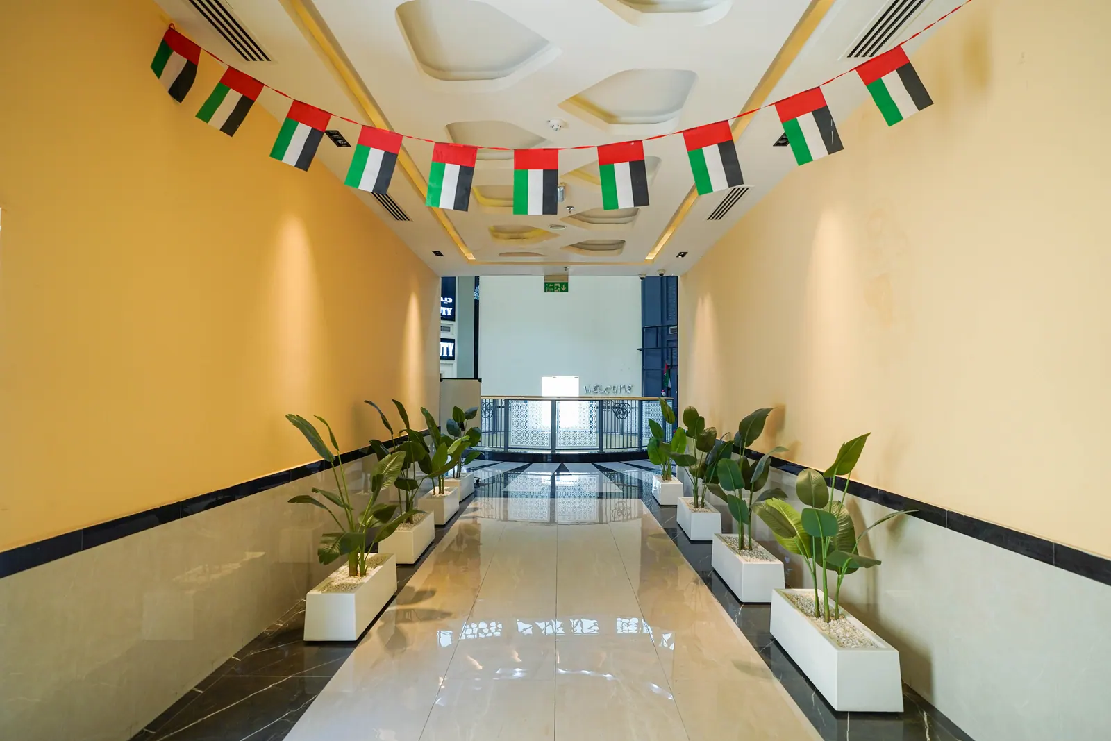 ممر الربط مع أحواض النباتات وأعلام الدولة